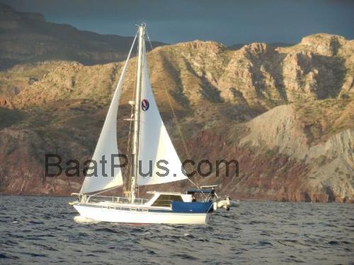 Morgan 101 	Spesifikasjoner og anmeldelser